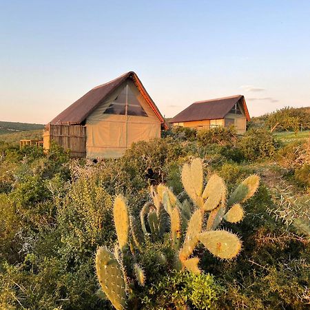 Harmony Luxury Tents & Safari Addo Exterior photo