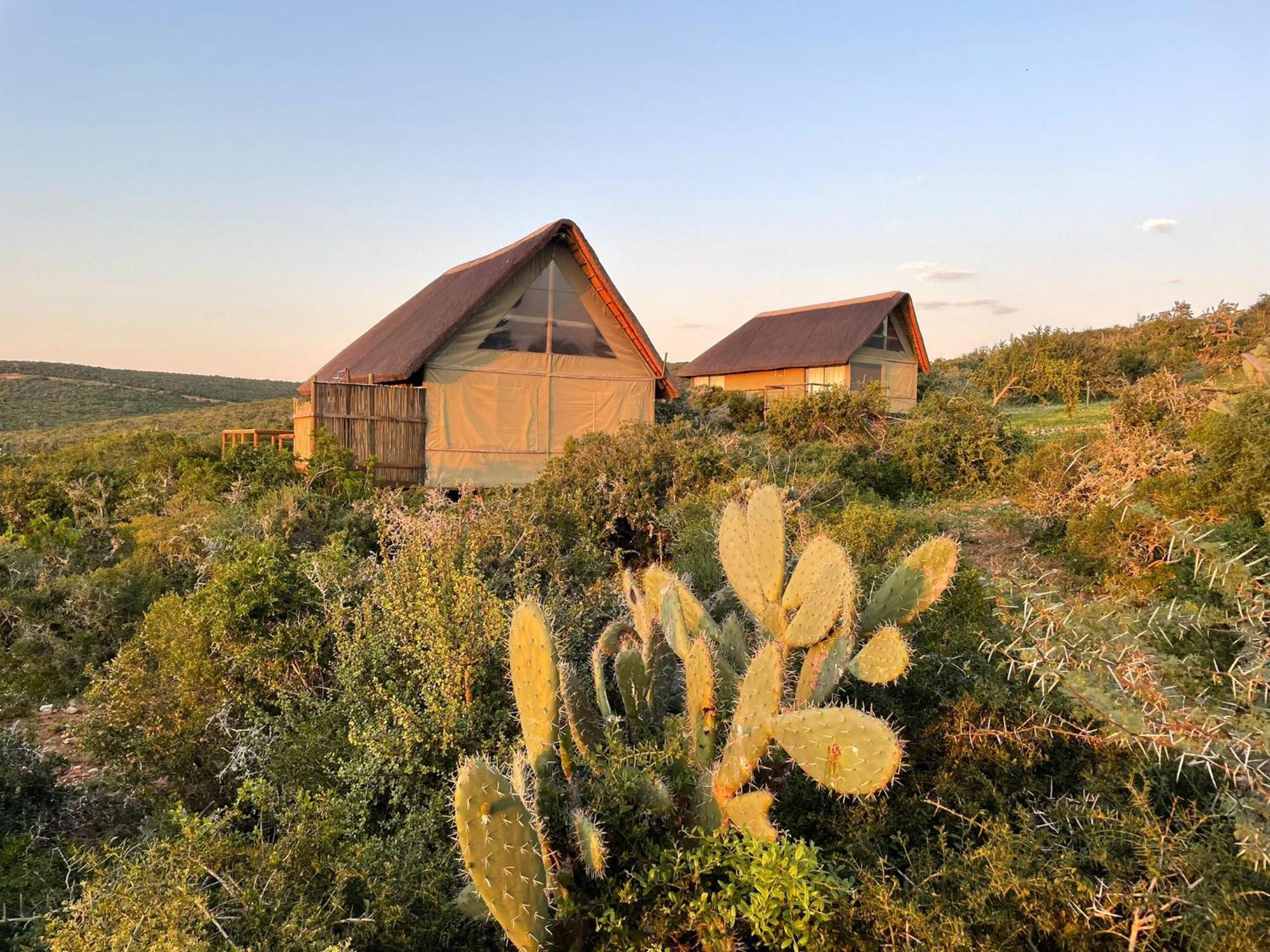 Harmony Luxury Tents & Safari Addo Exterior photo